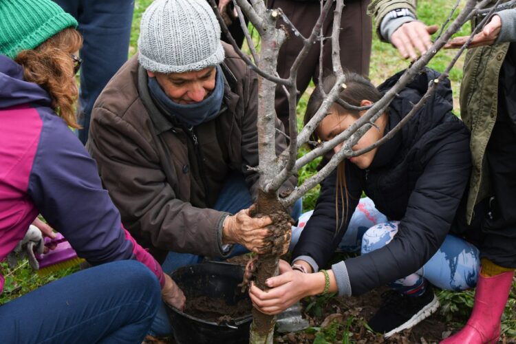 Antonio Lattuca fue pionero de la agroecología urbana en Rosario: Con 70 años, ahora apuesta a demostrar que se puede hacer a escala extensiva