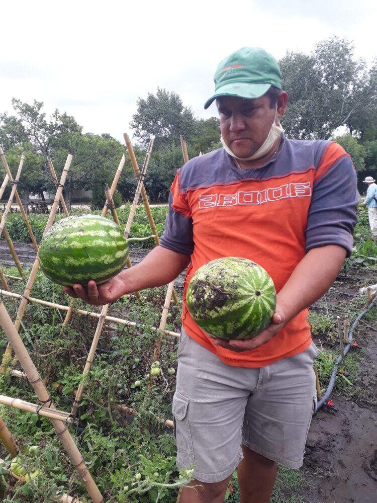Una visita al corazón de la UTEP en Navarro: “Antes los vecinos nos veían como planeros y con desprecio, pero con el tiempo demostramos que las huertas dignifican”