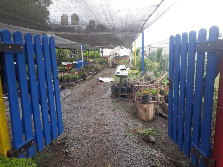 Una visita al corazón de la UTEP en Navarro: “Antes los vecinos nos veían como planeros y con desprecio, pero con el tiempo demostramos que las huertas dignifican”