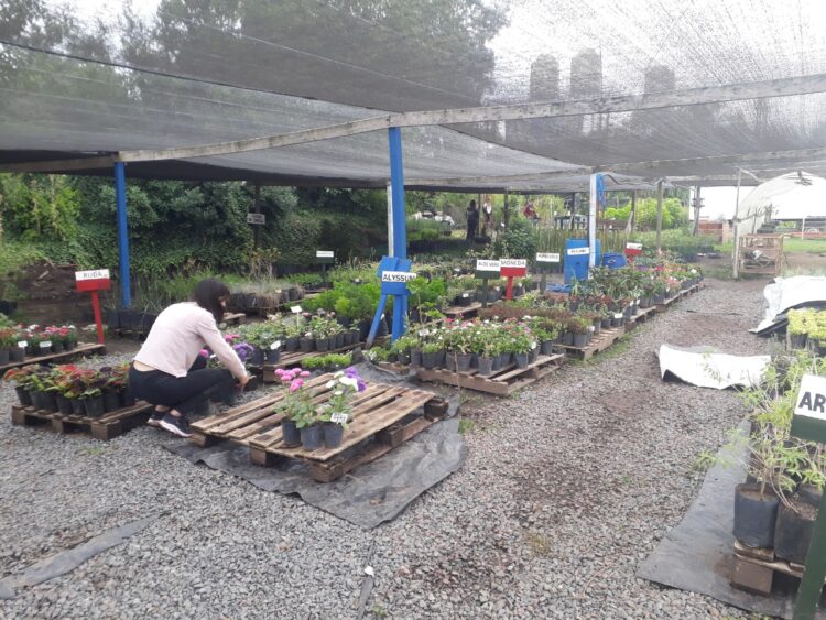 Una visita al corazón de la UTEP en Navarro: “Antes los vecinos nos veían como planeros y con desprecio, pero con el tiempo demostramos que las huertas dignifican”