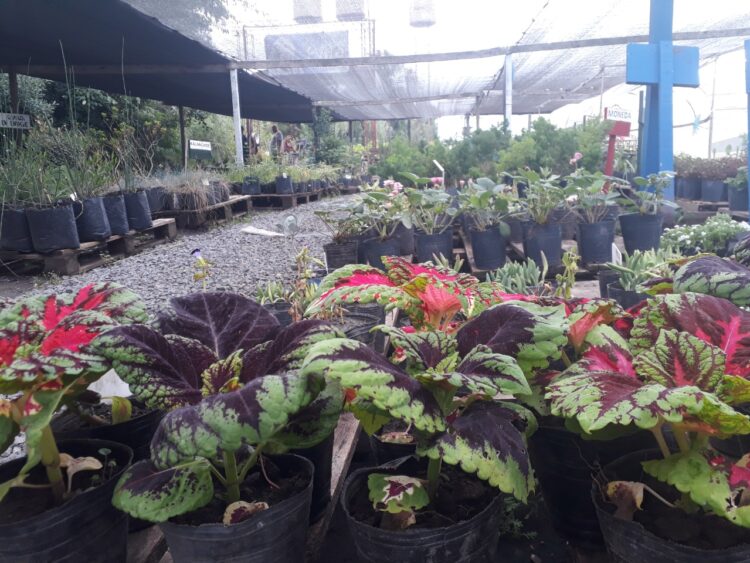 Una visita al corazón de la UTEP en Navarro: “Antes los vecinos nos veían como planeros y con desprecio, pero con el tiempo demostramos que las huertas dignifican”