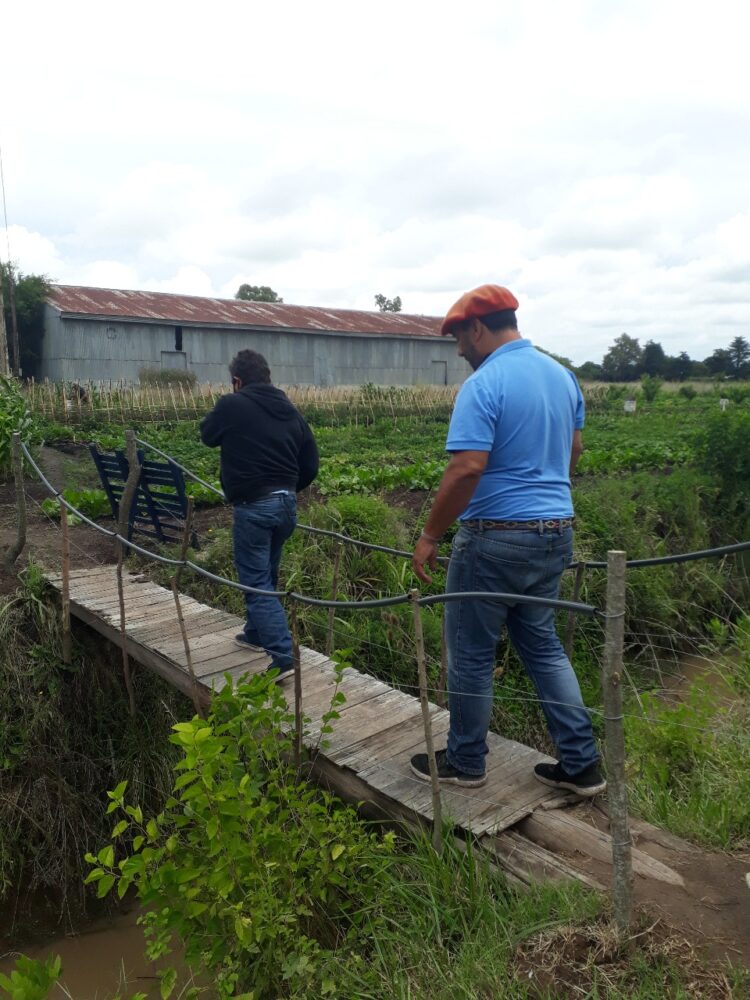 Una visita al corazón de la UTEP en Navarro: “Antes los vecinos nos veían como planeros y con desprecio, pero con el tiempo demostramos que las huertas dignifican”