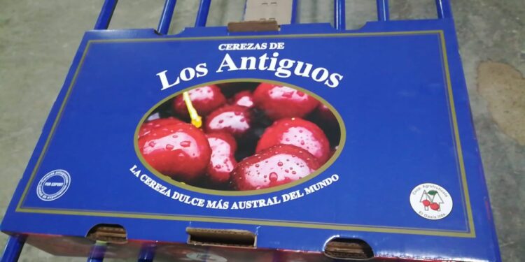 Los Antiguos: Quiénes son los productores frutícolas argentinos más australes del país que quieren tener su propia denominación de origen para cerezas