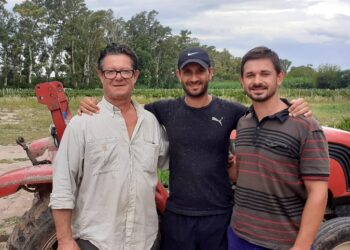 Los muchachos que se imaginaron produciendo alfalfa y terminarán elaborando los primeros vinos de Cruz del Eje