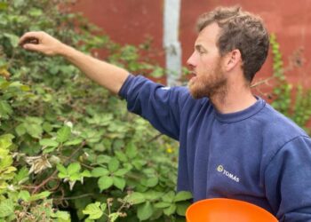 Historias de la huerta: Nicolás Martínez enseña “no solo a producir alimentos saludables sino también nuestras propias semillas e insumos, para no depender de nadie”