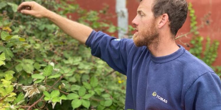 Historias de la huerta: Nicolás Martínez enseña “no solo a producir alimentos saludables sino también nuestras propias semillas e insumos, para no depender de nadie”