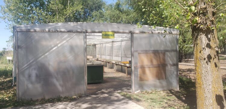 Florencia ansía que su hija comience las clases en una escuela agrotécnica de Tres Arroyos, pero cree que “los chicos siguen sin tener todo el derecho a la educación que se merecen”