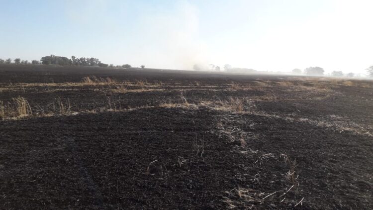 A Julio Molteni le secuestraron los tractores porque no pudo pagar dos cuotas y hoy está sin trabajar a pesar de que la justicia ordenó que se los restituyan
