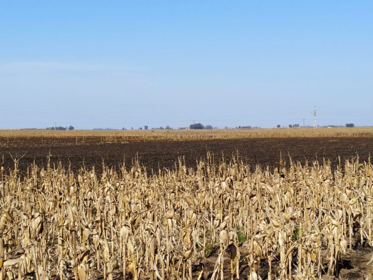 A Julio Molteni le secuestraron los tractores porque no pudo pagar dos cuotas y hoy está sin trabajar a pesar de que la justicia ordenó que se los restituyan