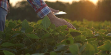 ¿Cómo demuestro que hago una agricultura responsable? Una aplicación buscar facilitar la trazabilidad de cada lote para sacar mejor provecho en el mercado