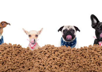 No se salva nadie: El programa de precios máximos y las retenciones también complican a las empresas que producen alimentos para mascotas