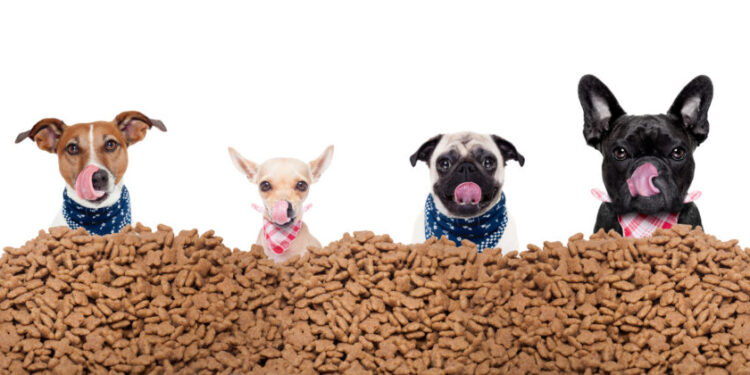 No se salva nadie: El programa de precios máximos y las retenciones también complican a las empresas que producen alimentos para mascotas