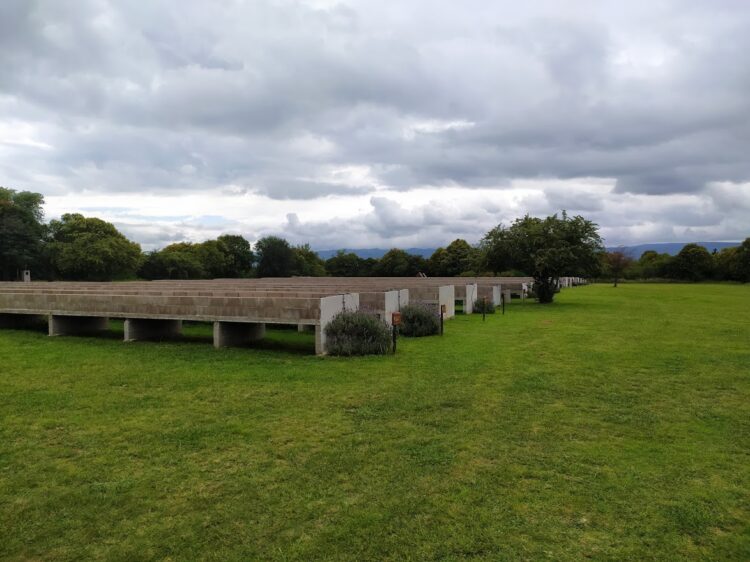 Entre las sierras de Córdoba funciona una especie de bóveda para atesorar… bulbos de azafrán