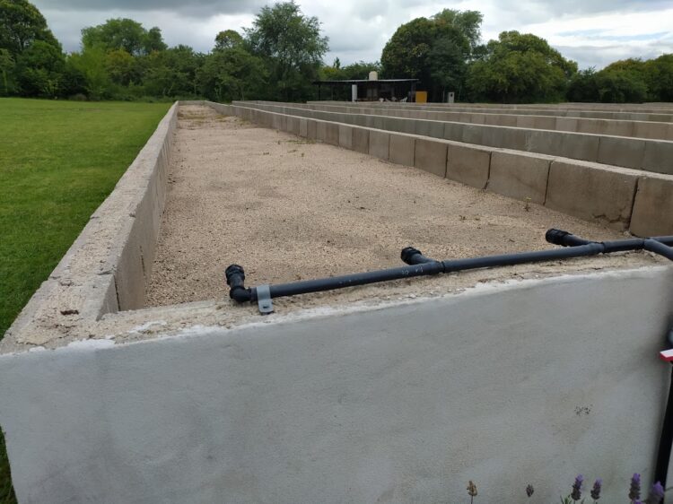 Entre las sierras de Córdoba funciona una especie de bóveda para atesorar… bulbos de azafrán