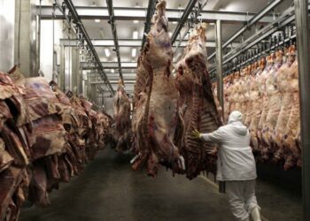 “Quedamos presos de una disputa política”, afirma un industrial de la carne que defiende la venta de cortes más baratos