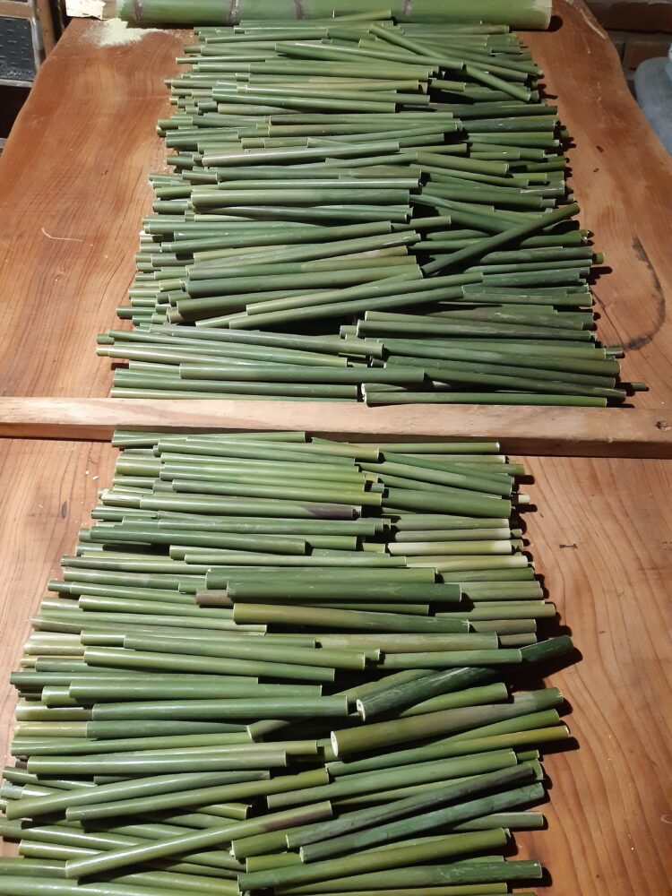 Qué buena idea: Investigaron las propiedades del bambú y crearon sorbetes ecológicos para reducir los deshechos plásticos