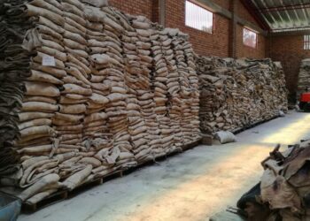 Para los frigoríficos, la exportación de cueros salados en 2020 fue un negocio positivo con el que habría que seguir