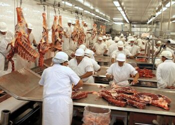 Profecía autocumplida: Al final llegó en enero la caída de la faena que justificaba la fuerte suba de los precios de la carne