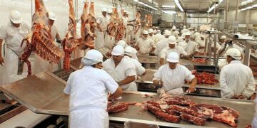 Profecía autocumplida: Al final llegó en enero la caída de la faena que justificaba la fuerte suba de los precios de la carne