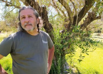 Esteban Santipolio cerró un círculo perfecto para su pequeña finca de olivos: Agrega muchísimo valor sin depender de insumos externos