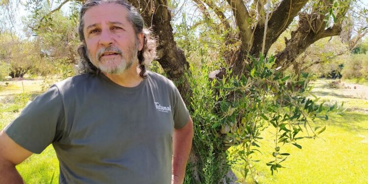 Esteban Santipolio cerró un círculo perfecto para su pequeña finca de olivos: Agrega muchísimo valor sin depender de insumos externos