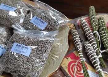 Los productores del valle de Calamuchita se organizan para crear la primera Ruta de la Lavanda