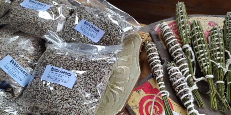 Los productores del valle de Calamuchita se organizan para crear la primera Ruta de la Lavanda