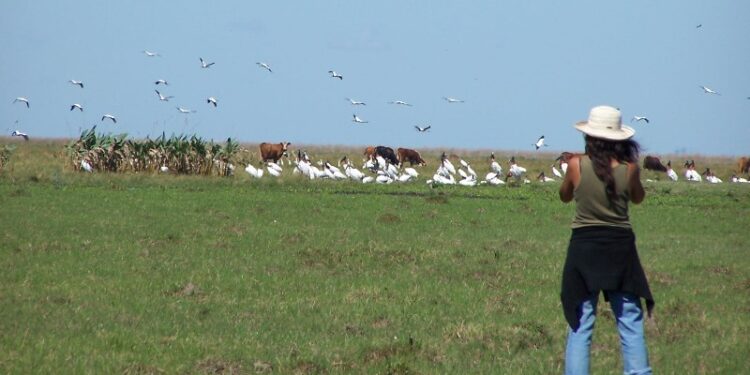 El INTA promete tener un mapa de los humedales para 2022: ¿Llegará a tiempo para evitar los posibles atropellos de una ley?