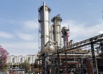 Los cañeros tucumanos reclaman la prórroga de la Ley de Biocombustibles, pero además exigen que sea con “una utilidad razonable”