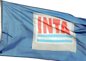 El INTA se politiza peligrosamente: El kirchnerismo más duro quiere avanzar sobre la conducción del organismo y ya condiciona a muchos investigadores