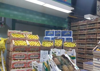 ¡Viva, el limón comenzó a bajar! Pero ahora solo verá esta noticia en los sitios especializados