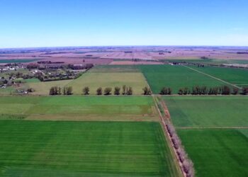 ¿Y qué hacemos con el periurbano? En medio de tanta pelea, hay un grupo de expertos que intentan tener una mirada conciliadora