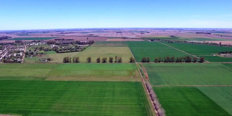 ¿Y qué hacemos con el periurbano? En medio de tanta pelea, hay un grupo de expertos que intentan tener una mirada conciliadora