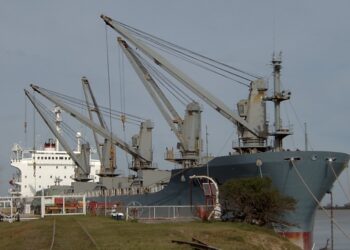 Los 14 buques cargados de madera que dieron vida el año pasado al puerto de Ibicuy