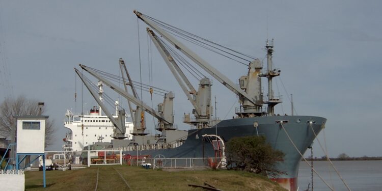 Los 14 buques cargados de madera que dieron vida el año pasado al puerto de Ibicuy