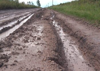 Se llama “camino de la producción” y queda en Entre Ríos: Pero es un ripio que hace 15 años no es mantenido y recibe memes porque cuando llueve parece una hidrovía