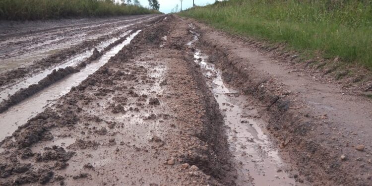 Se llama “camino de la producción” y queda en Entre Ríos: Pero es un ripio que hace 15 años no es mantenido y recibe memes porque cuando llueve parece una hidrovía
