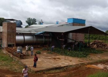 Pequeños productores de Misiones: Se unieron para poner en marcha un secadero de yerba mate