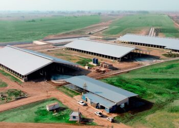 Destacan a una empresa familiar de Villa María como modelo de bienestar animal en el tambo y modernización del negocio lechero