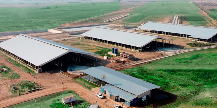 Destacan a una empresa familiar de Villa María como modelo de bienestar animal en el tambo y modernización del negocio lechero