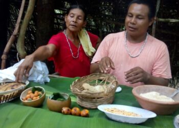 Turismo para conocer otras formas de entender el mundo: Las comunidades Mbya guaraní se organizan en Misiones para recibir visitantes
