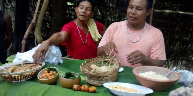 Turismo para conocer otras formas de entender el mundo: Las comunidades Mbya guaraní se organizan en Misiones para recibir visitantes
