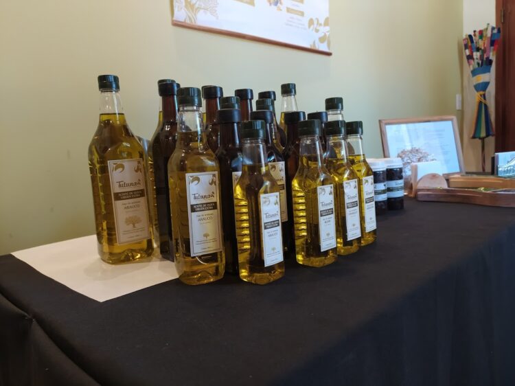 Esteban Santipolio cerró un círculo perfecto para su pequeña finca de olivos: Agrega muchísimo valor sin depender de insumos externos