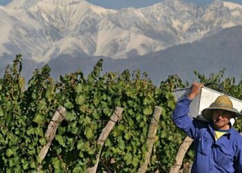 Se presentaron 451 iniciativas para la convocatoria “Ciencia y Tecnología contra el Hambre”: Ninguna pretende solucionar el problema de la falta de personal para cosechar productos perecederos