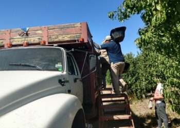 “Hay 6 mil productores de malbec al borde de la extinción”, advierte Claudio Giusti desde el Valle de Uco, cuna del varietal insignia del vino argentino
