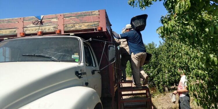 “Hay 6 mil productores de malbec al borde de la extinción”, advierte Claudio Giusti desde el Valle de Uco, cuna del varietal insignia del vino argentino