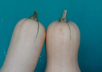 Mostrando lo poco que cobran las economías regionales, Federación Agraria hace su aporte para la “exculpación” del productor