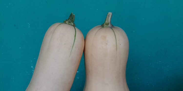 Mostrando lo poco que cobran las economías regionales, Federación Agraria hace su aporte para la “exculpación” del productor