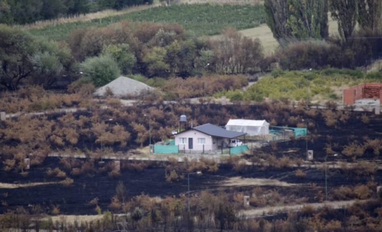 Desde Lago Puelo, Paula Costa relata el calvario sufrido por los productores: tras los incendios, la prioridad es reconstruir el sistema de riego y el tendido eléctrico