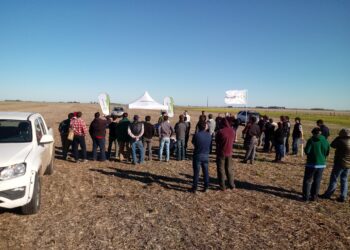 Aapresid pide cuidar la tecnología de tolerancia a glufosinato para no repetir la historia del glifosato en los años 90